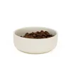 Great & Small Penrose Cream Stoneware Pet Bowl Fashion