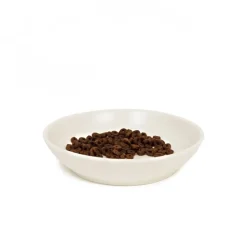 Great & Small Penrose Cream Stoneware Pet Dish Online