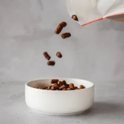 Great & Small Penrose Cream Stoneware Pet Bowl Fashion