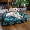 Great & Small Penrose Jungle Print Slumber Dog Bed Best