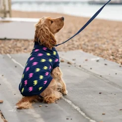 Great & Small Penrose Knit Lightning Bolt Dog Jumper Outlet