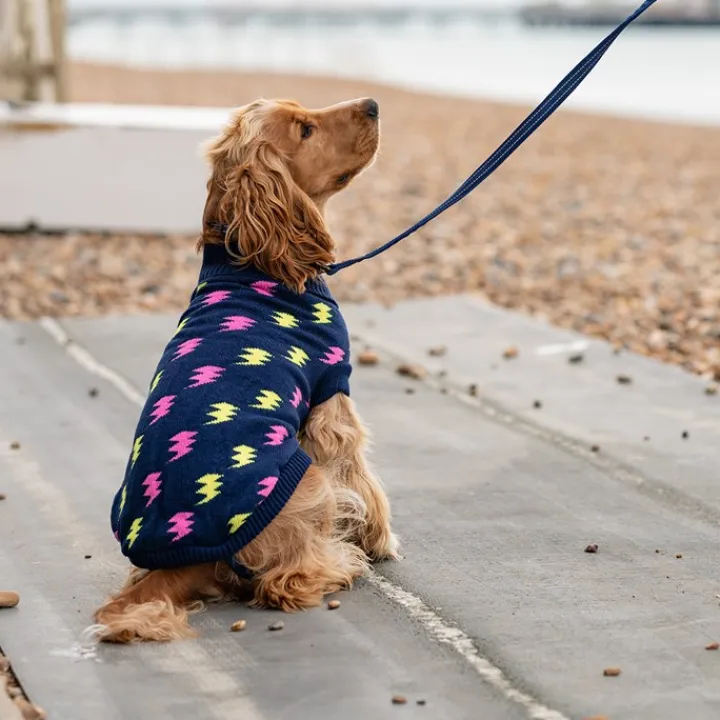 Great & Small Penrose Knit Lightning Bolt Dog Jumper Outlet
