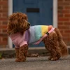 Great & Small Penrose Knitted Pastel Rainbow Dog Jumper Discount