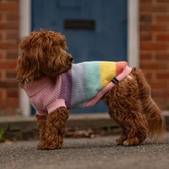 Great & Small Penrose Knitted Pastel Rainbow Dog Jumper Discount