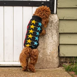 Great & Small Penrose Knitted Black with Stars Dog Jumper New