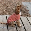 Great & Small Penrose Knit Peach Dog Jumper Best