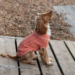Great & Small Penrose Knit Peach Dog Jumper Best