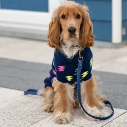 Great & Small Penrose Knit Lightning Bolt Dog Jumper Outlet