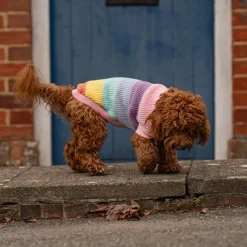 Great & Small Penrose Knitted Pastel Rainbow Dog Jumper Discount