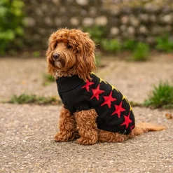 Great & Small Penrose Knitted Black with Stars Dog Jumper New