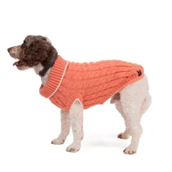Great & Small Penrose Knit Peach Dog Jumper Best