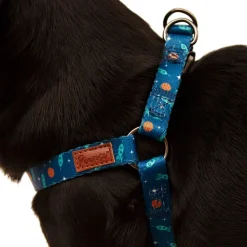 Great & Small Penrose Outer Space Blue Dog Harness Sale