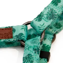 Great & Small Penrose Palm Leaf Green Dog Harness Online