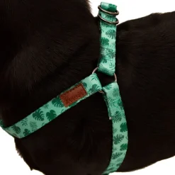 Great & Small Penrose Palm Leaf Green Dog Harness Online