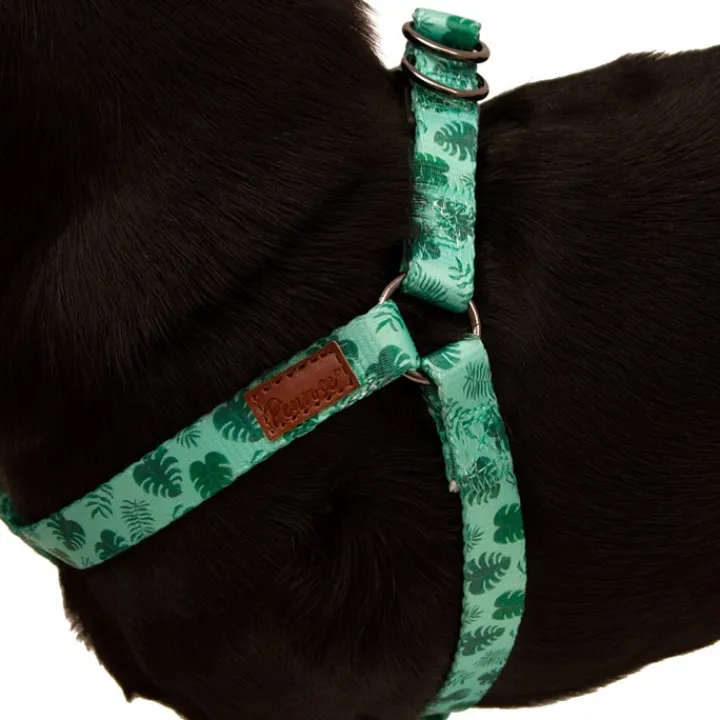 Great & Small Penrose Palm Leaf Green Dog Harness Online
