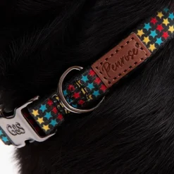 Great & Small Penrose Triple Star Black Dog Collar Best