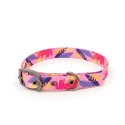 Great & Small Penrose Tropical Dog Collar Fashion