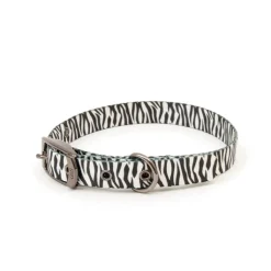 Great & Small Penrose Zebra Dog Collar Sale