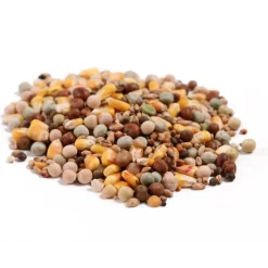 Great & Small Pigeon Corn Clearance