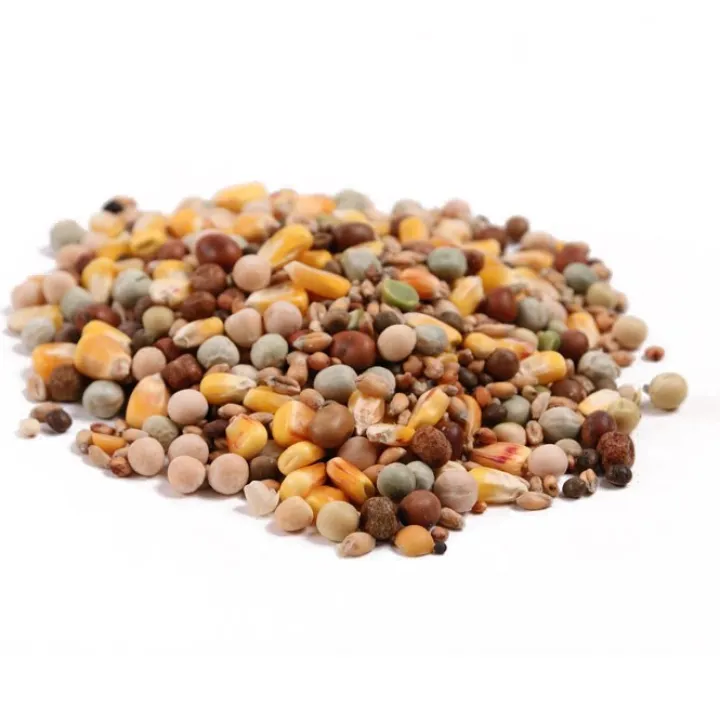 Great & Small Pigeon Corn Clearance