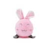 Great & Small Pink Plush Rabbit & TPR Ball Dog Toy Hot