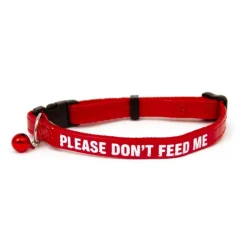Great & Small Please Don't Feed Cat Collar Fashion