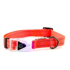 Great & Small Reflective Flashing Buckle Dog Collar Sale