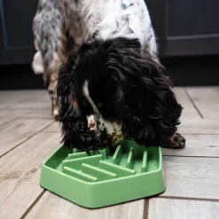 Great & Small Sage Green Slow Down Hexagon Dog Bowl Online
