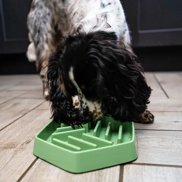 Great & Small Sage Green Slow Down Hexagon Dog Bowl Online