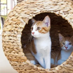 Great & Small Snuggle&Scratch Globe Bed Cat Scratcher Bed Fashion