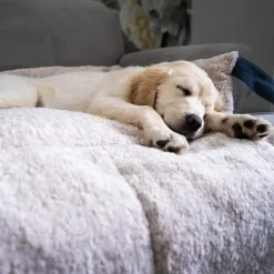 Great & Small Snuggle&Snooze Soft Sofa Dog Bed Clearance