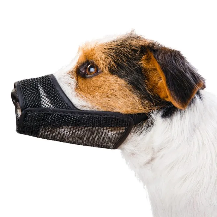 Great & Small Soft Mesh Dog Muzzle Online