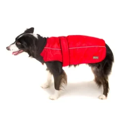 Great & Small Active Great & Small Sports Dog Coat Red Clearance
