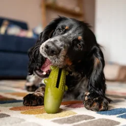 Great & Small Stay Wild Alligator Treat & Bounce Dog Toy Online