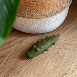 Great & Small Stay Wild Alligator Treat & Bounce Dog Toy Online