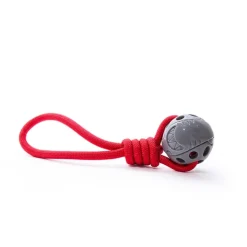 Great & Small Stay Wild Shark & Rope Dog Toy Online