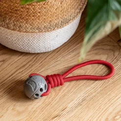 Great & Small Stay Wild Shark & Rope Dog Toy Online