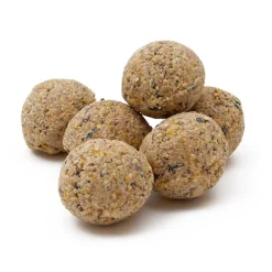 Great & Small Suet Balls Bird Food Fashion