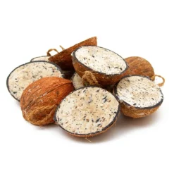 Great & Small Suet Coconuts Halves 10 Pack Outlet