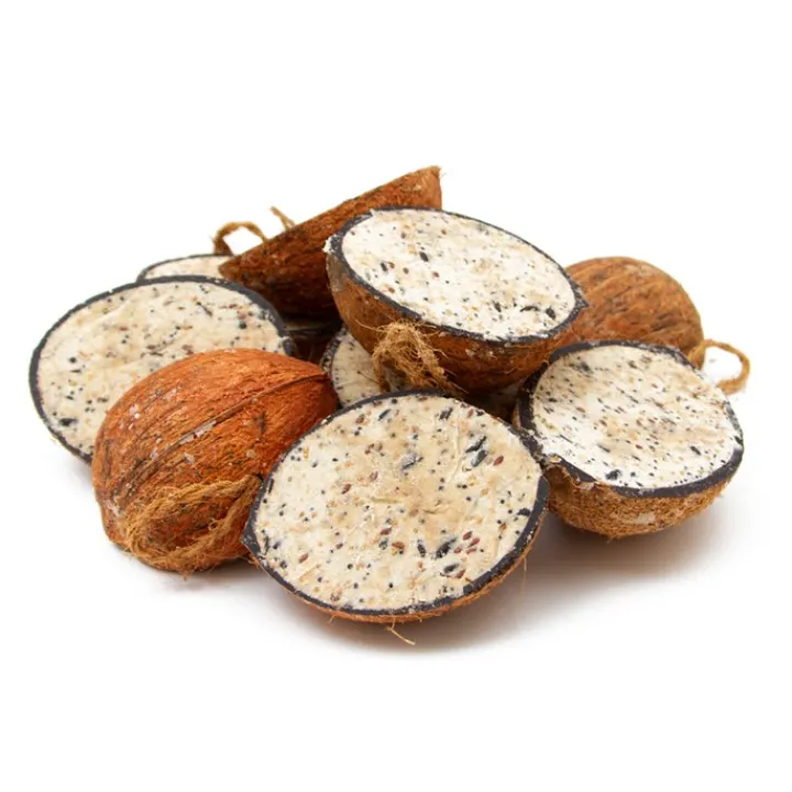 Great & Small Suet Coconuts Halves 10 Pack Outlet