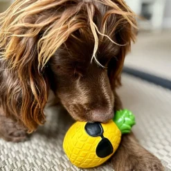Great & Small Summer Sizzlers Latex Cool Pineapple Dog Toy Best