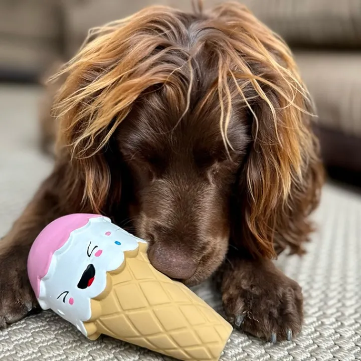 Great & Small Summer Sizzlers Latex Ice Cream Dog Toy Clearance