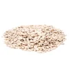 Great & Small Sunflower Hearts Outlet