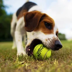 Great & Small Tennis Ball Rope Ring Dog Toy Discount