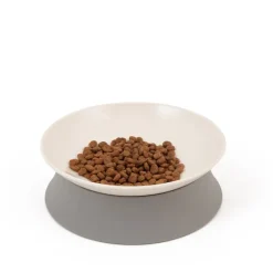 Great & Small Tilted Cat Food Dish Discount