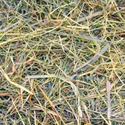 Great & Small Timothy Hay Clearance