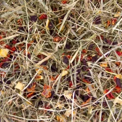 Great & Small Timothy Hay With Garden Vegetables Outlet