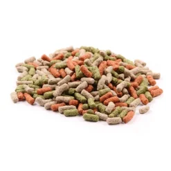 Great & Small Variety Sticks Clearance