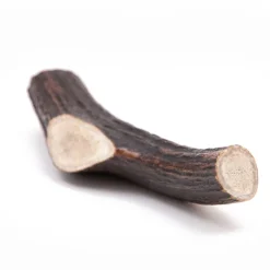 Green Elk Antler Full Dog Chew Discount