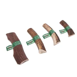 Green Elk Antler Split Dog Chew Discount